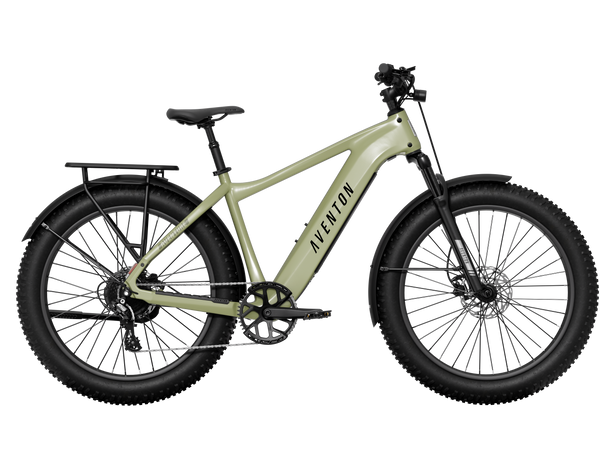 Aventon Aventure 3 Step Over