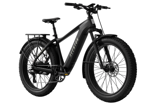 Aventon Aventure 3 Step Over