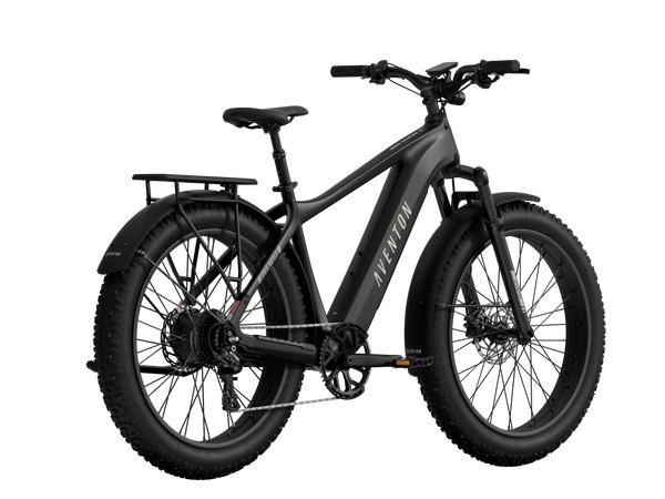 Aventon Aventure 3 Step Over