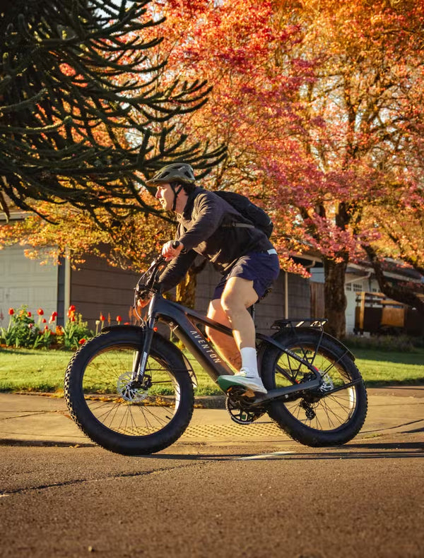 Aventon Aventure 3 Step Over