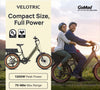 Velotric GoMad Ebike