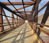 🚂 Union Pacific Railroad Trail E-Bike Adventure