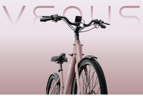 Heybike Venus