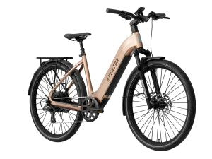 Aventon level 4 rec step through