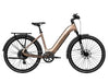 Aventon level 4 rec step through