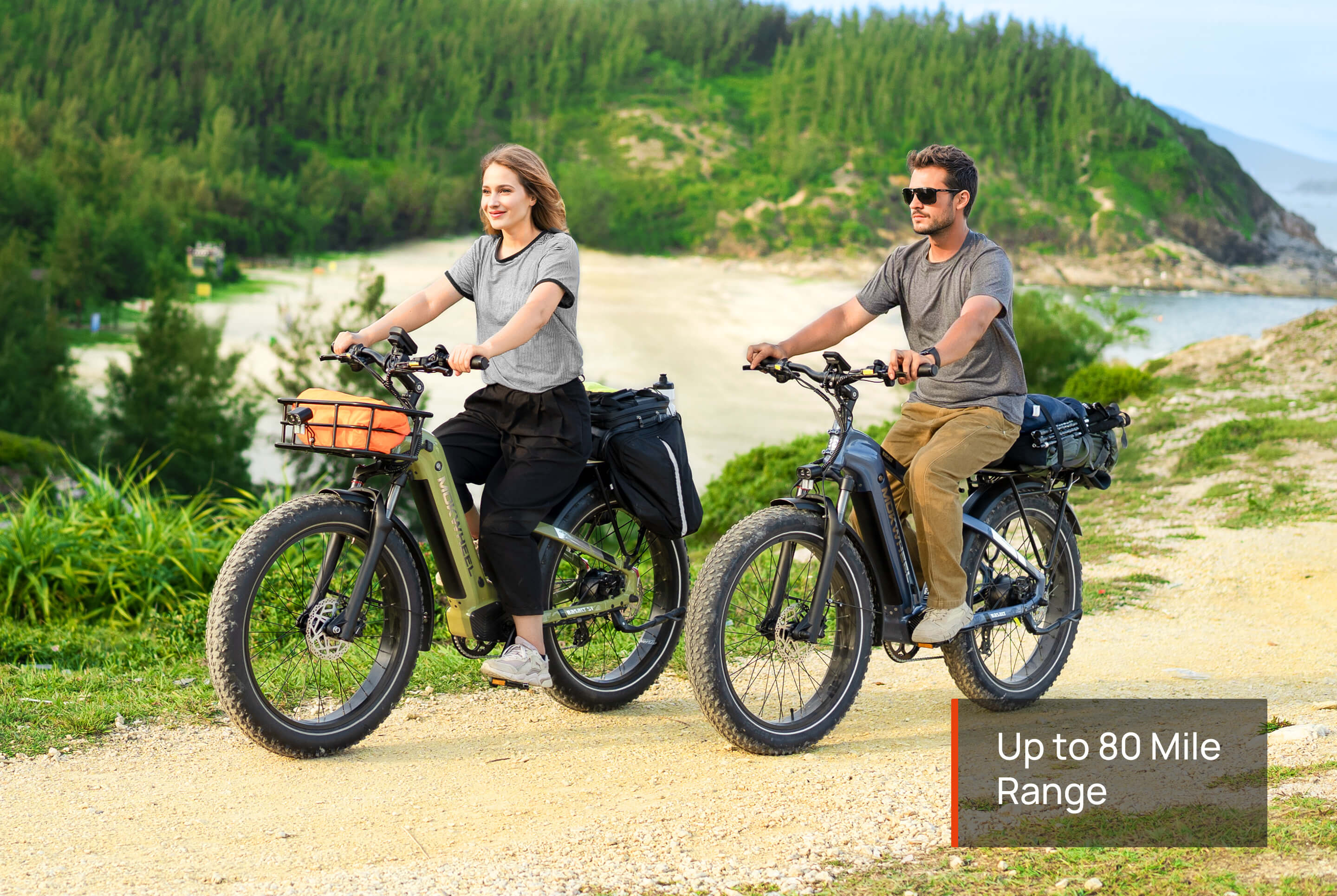 Mokwheel Basalt ST 2.0 Ebike