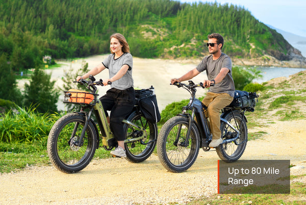 Mokwheel Basalt ST 2.0 Ebike